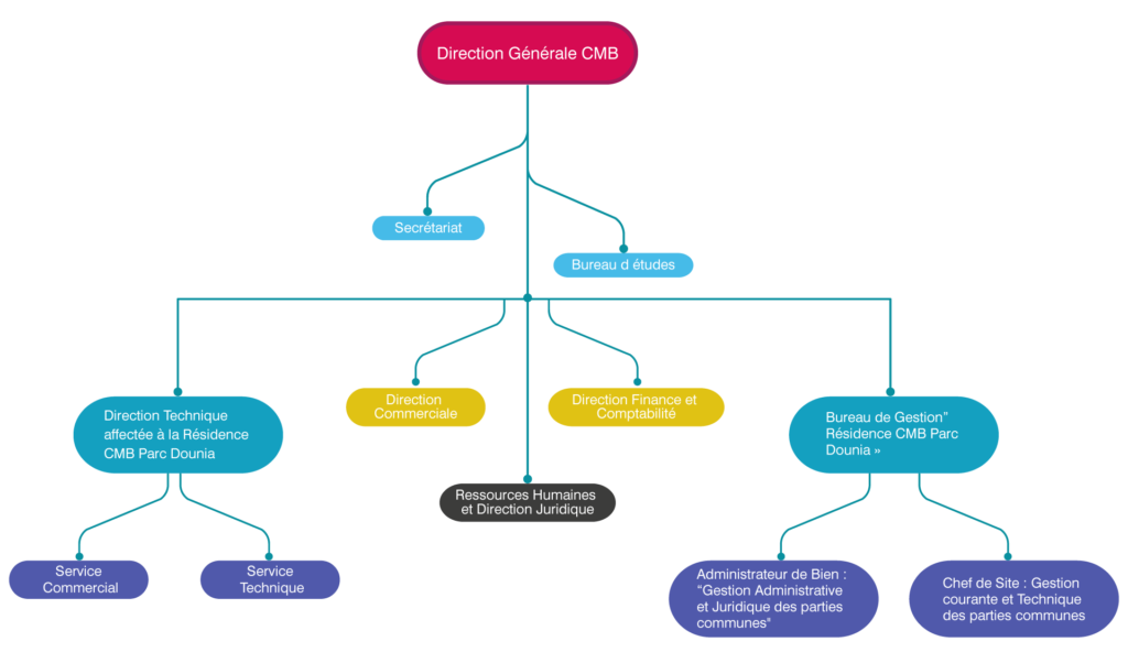 Organigramme CMB